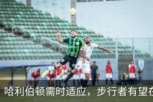 哈利伯顿需时适应，步行者有望在赛季中崛起